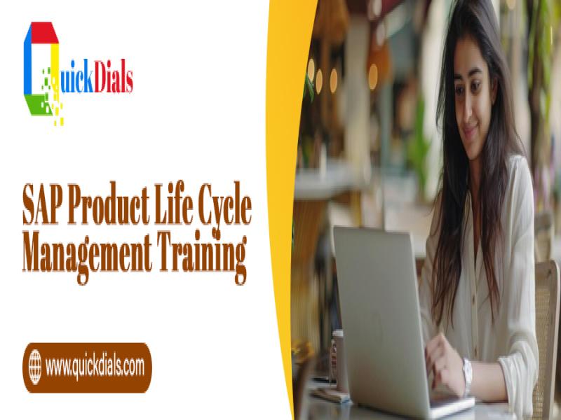SAP Product Life Cycle Management Training